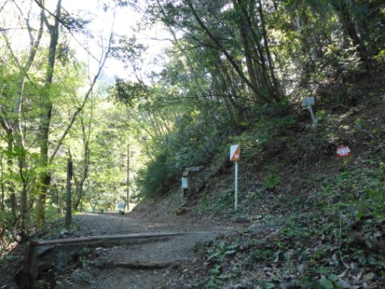 画像8
